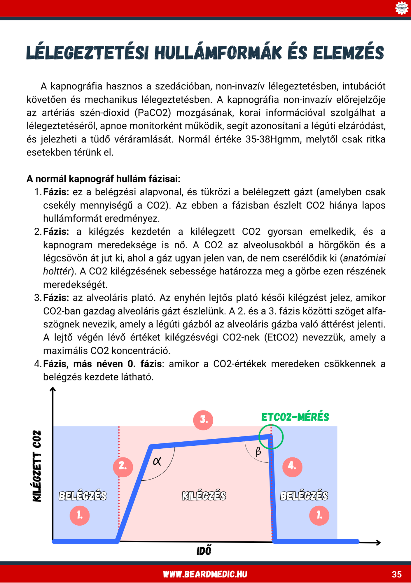Gépi Lélegeztetés A Sürgősségi Ellátásban - E-könyv - Image 4